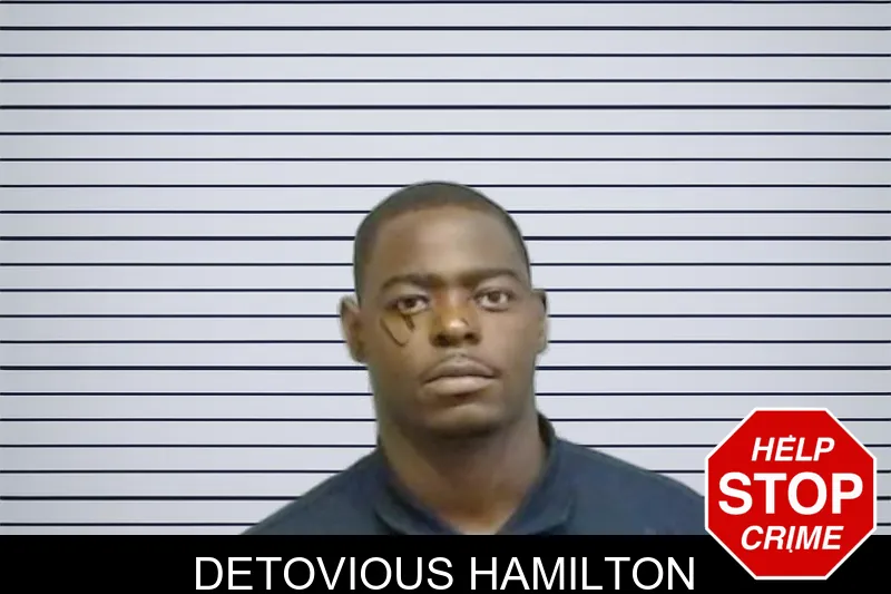 Detovious Hamilton mugshot