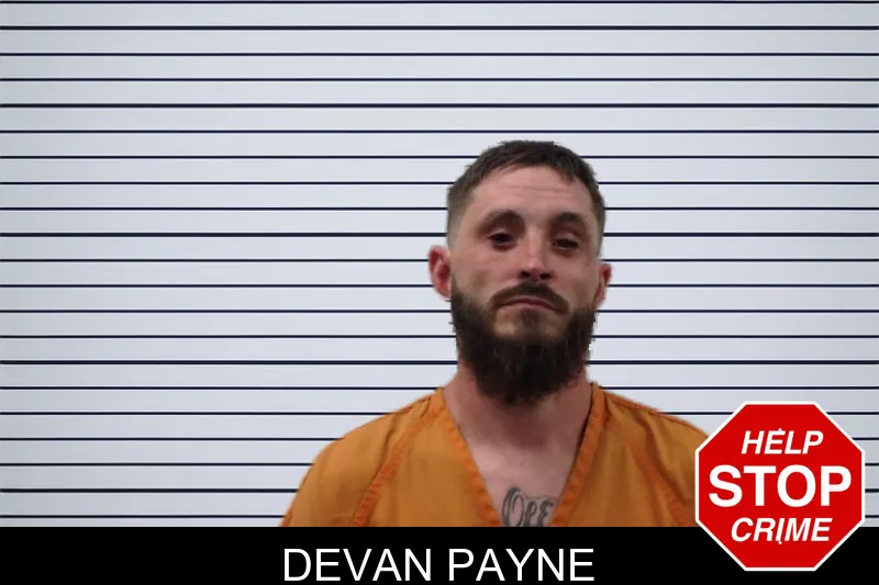 Devan Payne mugshot