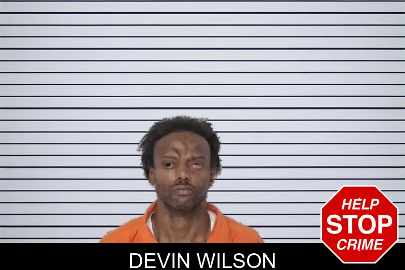 Devin Wilson mugshot