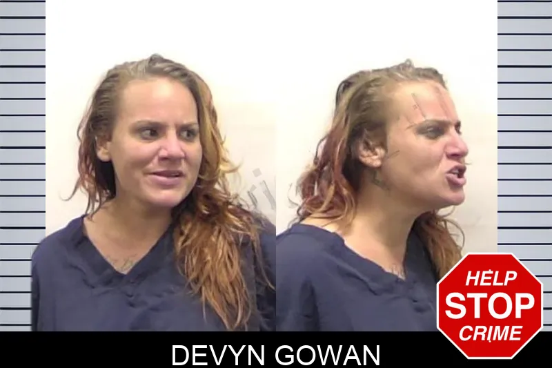 Devyn Gowan mugshot