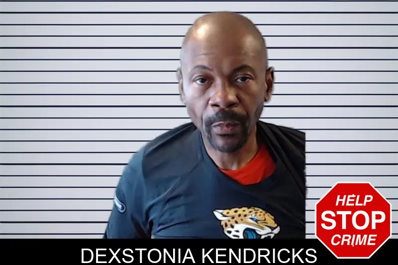Dexstonia Kendricks mugshot – DeKalb County , Georgia Dexstonia Kendricks mugshot