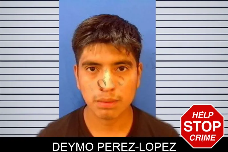 Deymo Perez-Lopez mugshot