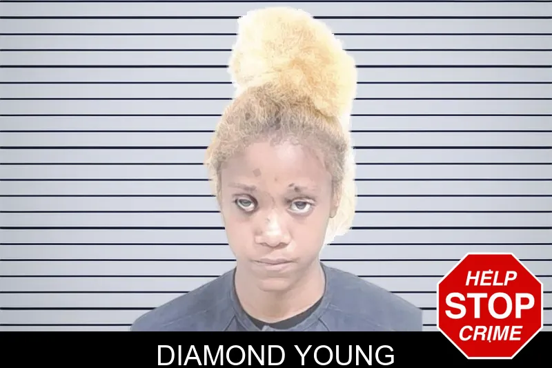 Diamond Young mugshot