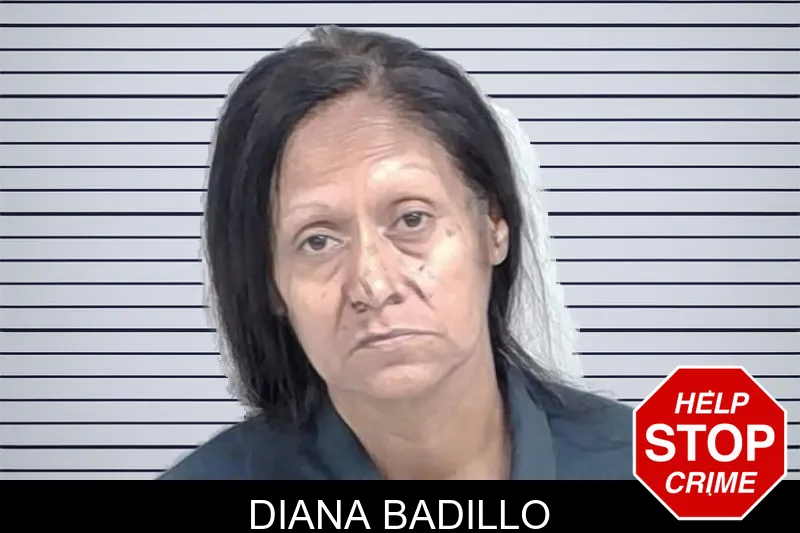 Diana Badillo mugshot