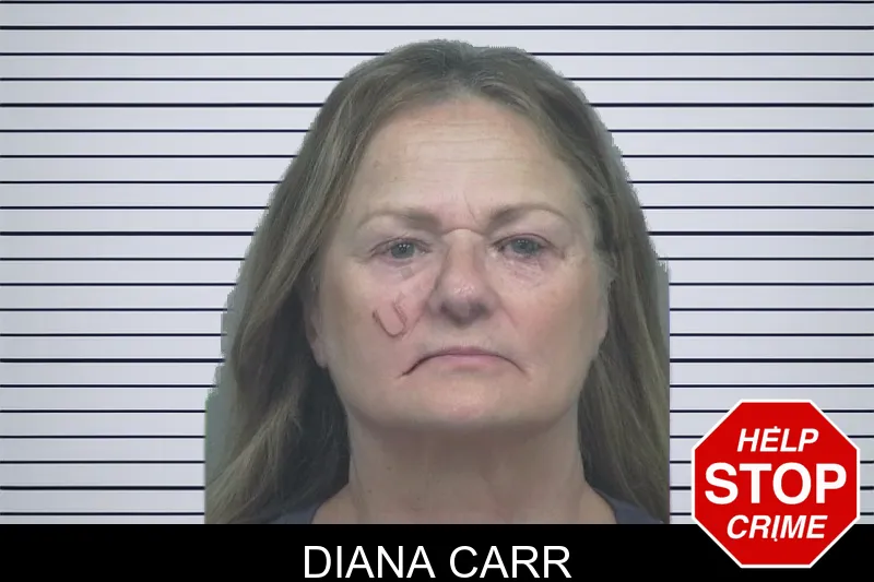 Diana Carr mugshot