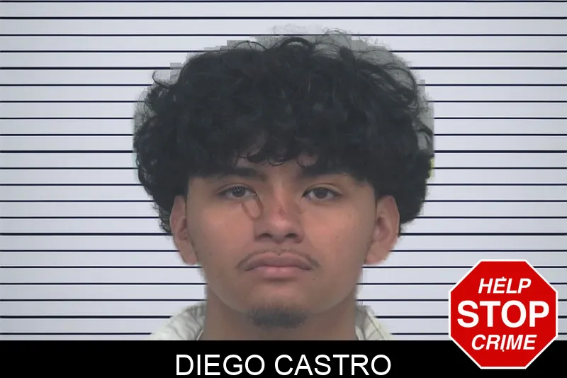 Diego Castro mugshot