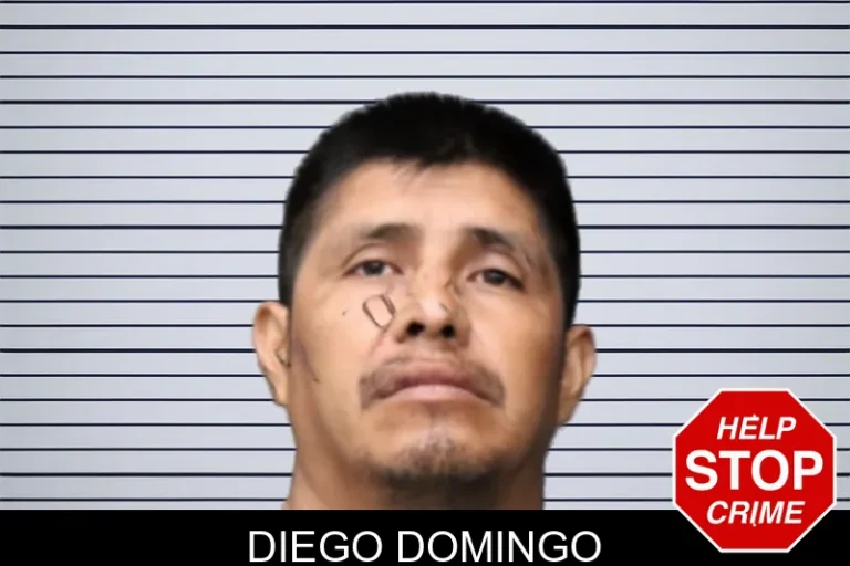 Diego Domingo