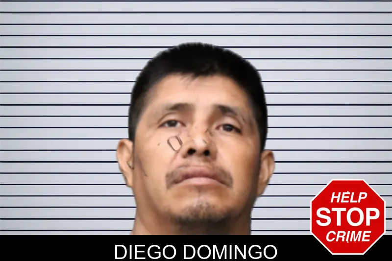 Diego Domingo mugshot – Forsyth County , Georgia Diego Domingo mugshot