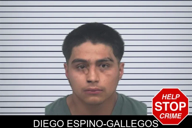 Diego Espino-Gallegos mugshot – Gwinnett County , Georgia Diego Espino-Gallegos