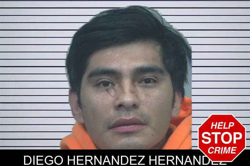 Diego Hernandez Hernandez mugshot