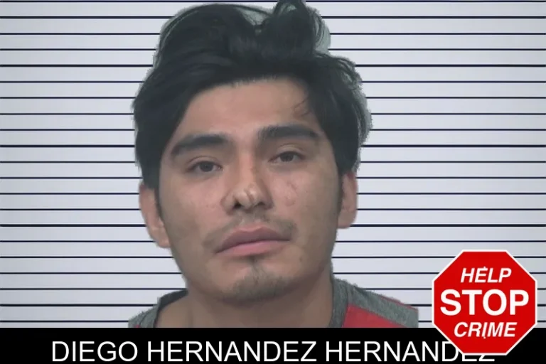 Diego Hernandez Hernandez mugshot – Gwinnett County , Georgia Diego Hernandez Hernandez