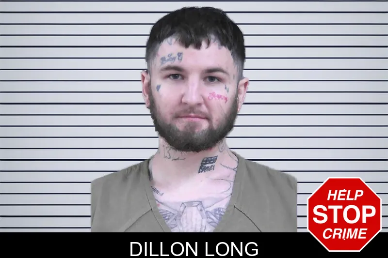 Dillon Long mugshot