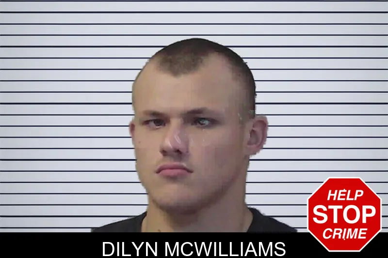Dilyn McWilliams mugshot – Jasper County , Georgia Dilyn McWilliams mugshot