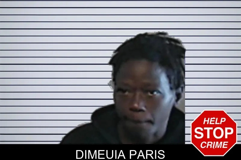 Dimeuia Paris mugshot – DeKalb County , Georgia Dimeuia Paris mugshot