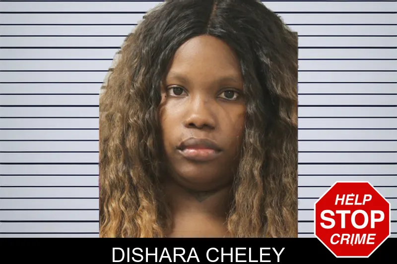 Dishara Cheley mugshot – Toombs County , Georgia Dishara Cheley mugshot