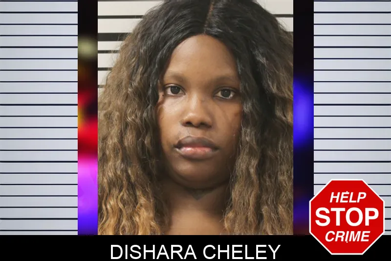 Dishara Cheley mugshot – Toombs County , Georgia Dishara Cheley mugshot