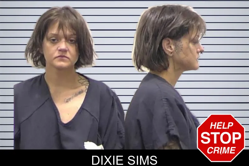 Dixie Sims mugshot