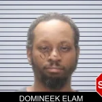 Domineek Elam mugshot – Muscogee County , Georgia Domineek Elam mugshot