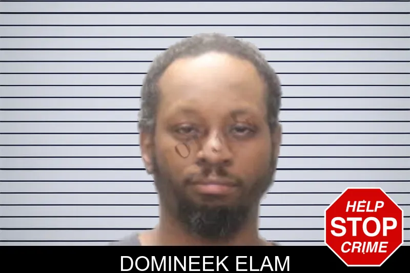 Domineek Elam mugshot