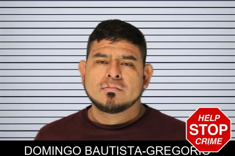 Domingo Bautista-Gregorio