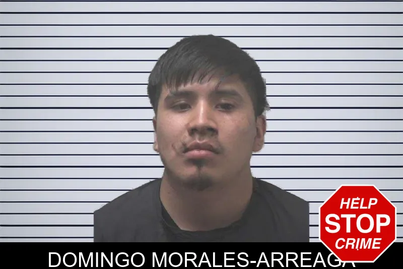 Domingo Morales-Arreaga mugshot