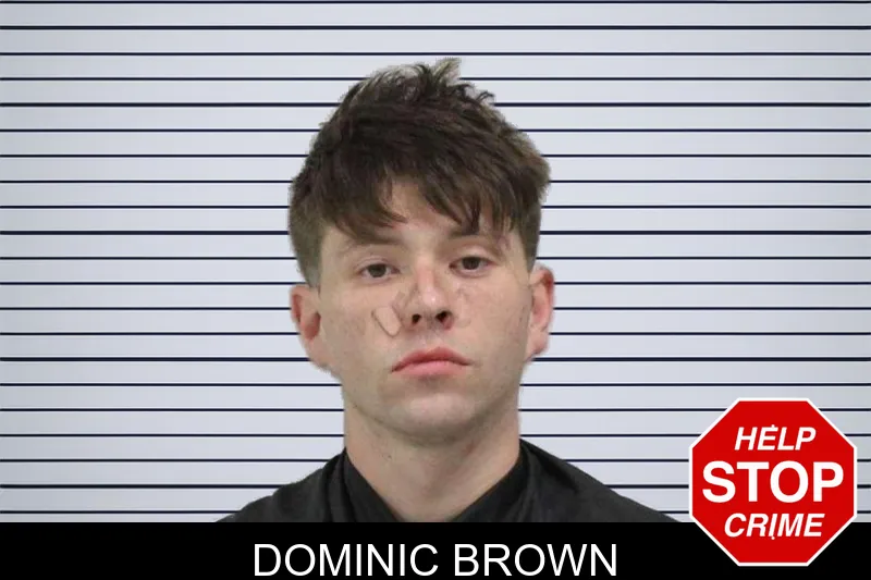 Dominic Brown mugshot