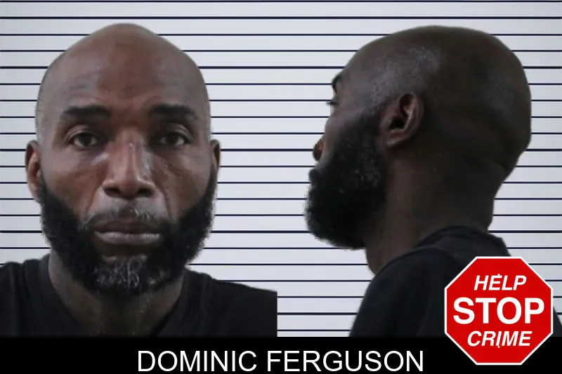 Dominic Ferguson mugshot