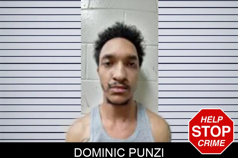 Dominic Punzi mugshot