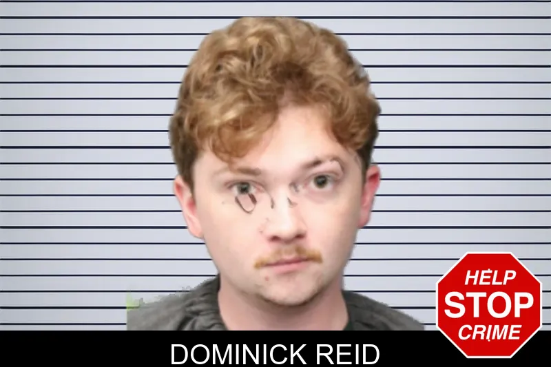 Dominick Reid mugshot – Forsyth County , Georgia Dominick Reid mugshot