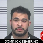Dominick Severino mugshot – Gwinnett County , Georgia Dominick Severino mugshot