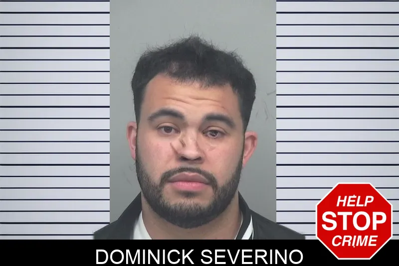 Dominick Severino mugshot – Gwinnett County , Georgia Dominick Severino mugshot