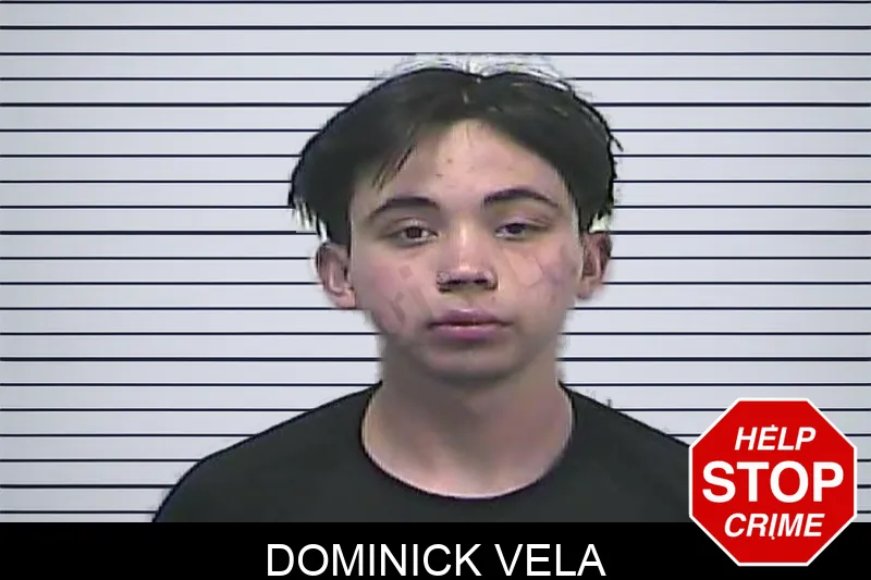Dominick Vela mugshot