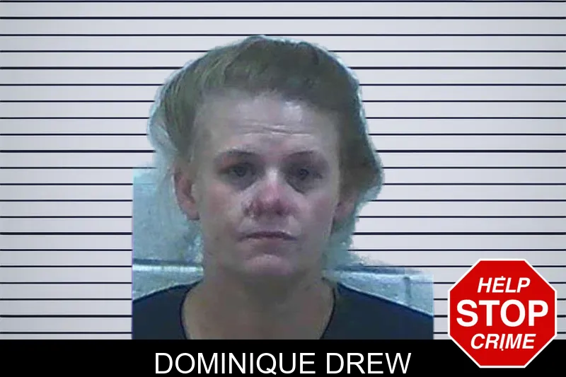 Dominique Drew mugshot – Jackson County , Georgia Dominique Drew mugshot