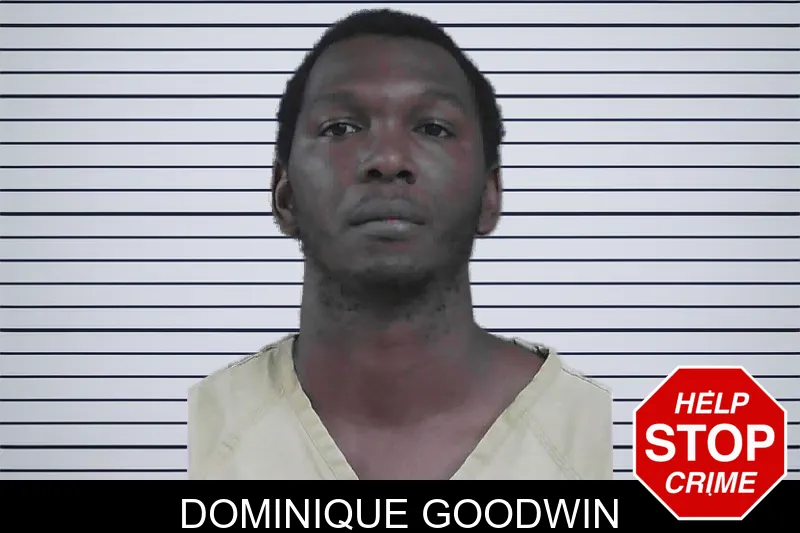 Dominique Goodwin mugshot – Gordon County , Georgia Dominique Goodwin mugshot