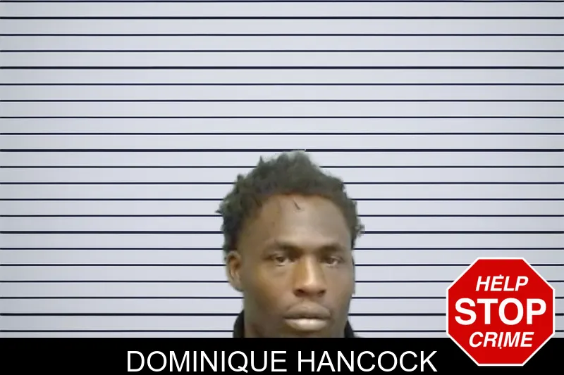 Dominique Hancock mugshot – Fulton County , Georgia Dominique Hancock mugshot