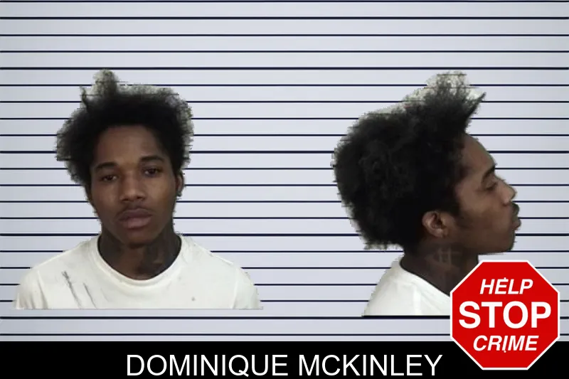 Dominique McKinley mugshot – Camden County , Georgia Dominique McKinley mugshot