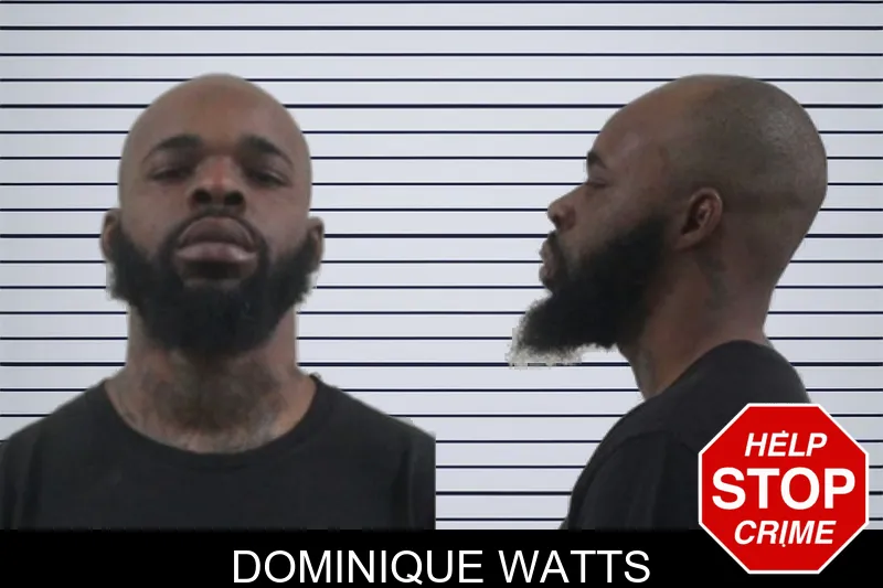 Dominique Watts mugshot