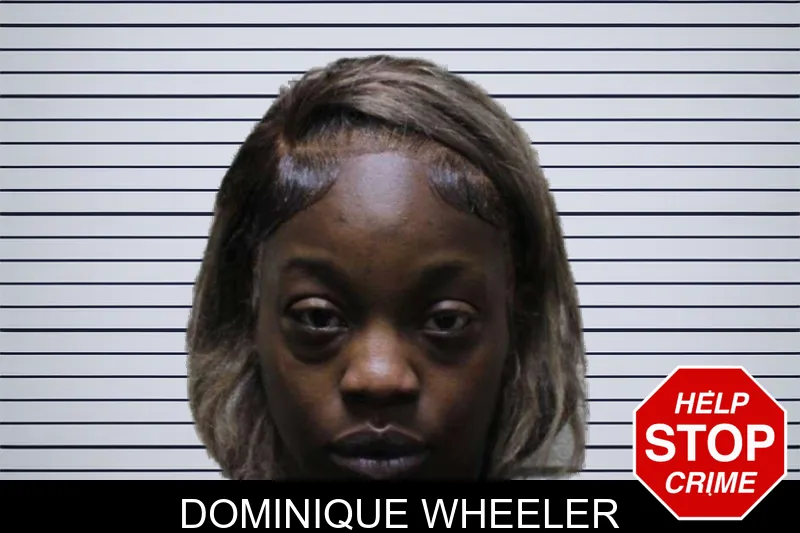 Dominique Wheeler mugshot