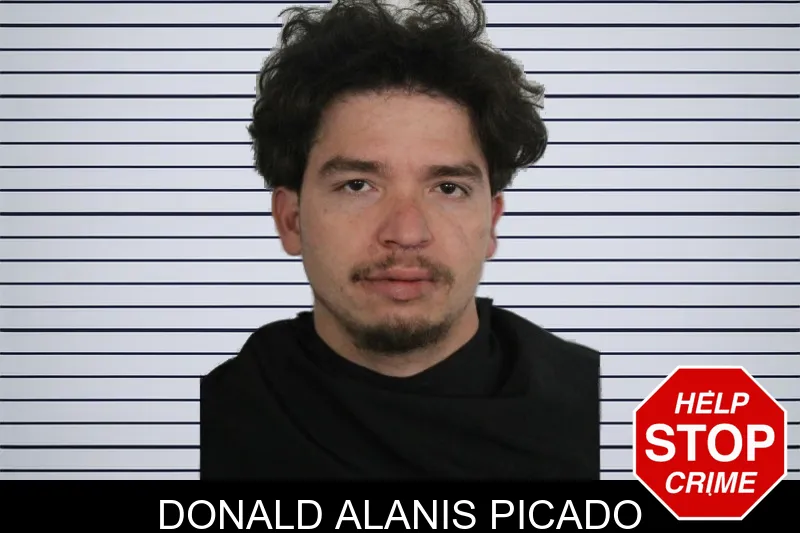Donald Alanis Picado mugshot