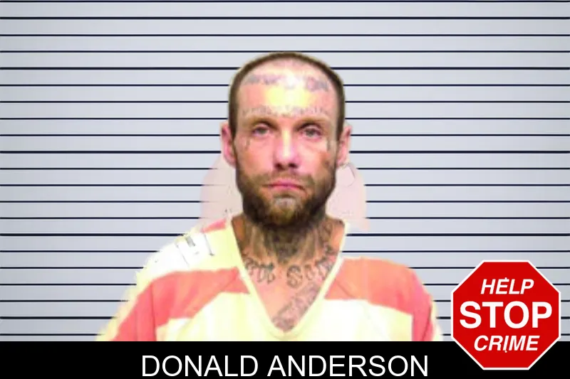 Donald Anderson mugshot
