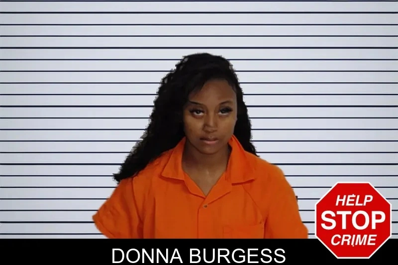 Donna Burgess mugshot