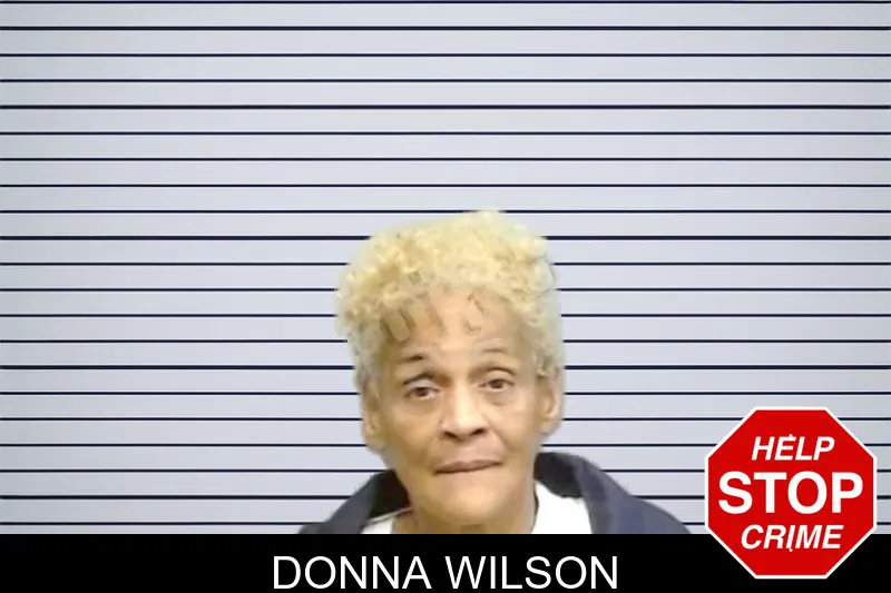 Donna Wilson mugshot