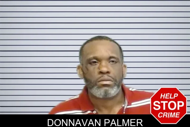 Donnavan Palmer mugshot – Fulton County , Georgia Donnavan Palmer