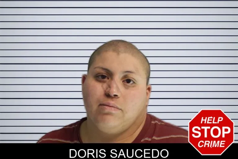 Doris Saucedo mugshot – Hall County , Georgia Doris Saucedo