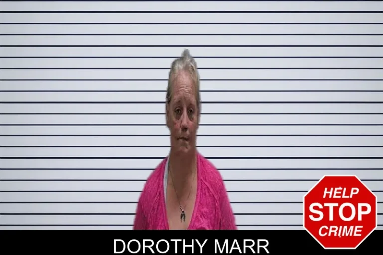 Dorothy Marr