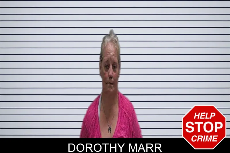 Dorothy Marr mugshot