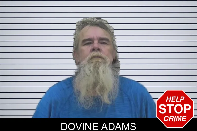 Dovine Adams mugshot – Coffee County , Georgia Dovine Adams mugshot