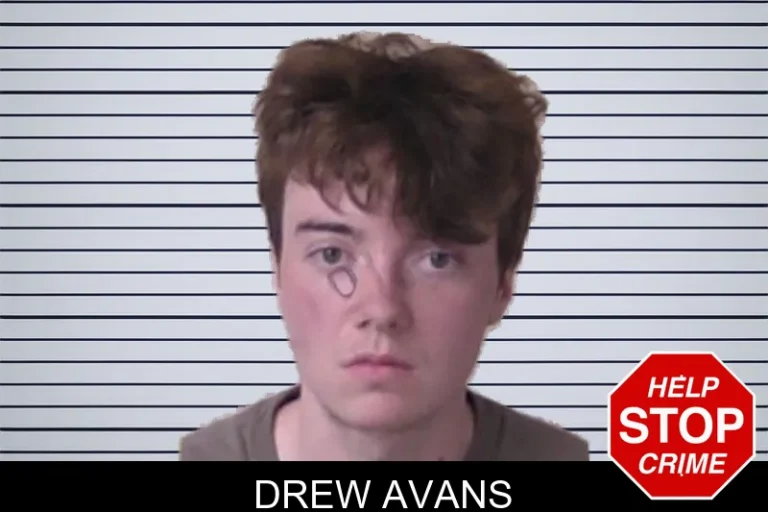Drew Avans