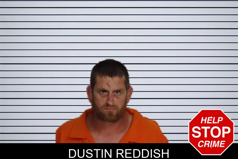 Dustin Reddish mugshot – Rockdale County , Georgia Dustin Reddish mugshot