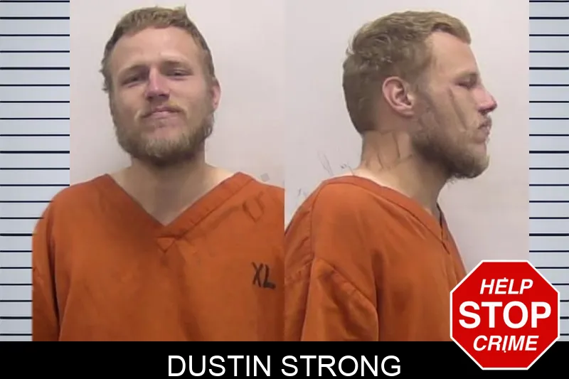 Dustin Strong mugshot